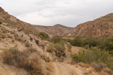 İspanya 'nın güneyindeki dağlık bir bölgede toprak yol, çalılar ve ağaçlar var, toprak aşınmış, gökyüzü bulutlu