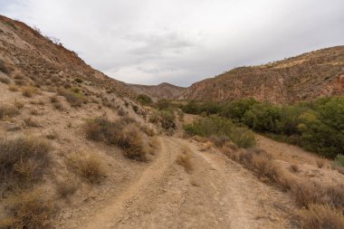 İspanya 'nın güneyindeki dağlık bir bölgede toprak yol, çalılar ve ağaçlar var, toprak aşınmış, gökyüzü bulutlu
