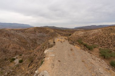 İspanya 'nın güneyindeki dağlık bölgede çalılar, ağaçlar ve kuru otlar var. Gökyüzü bulutlu.