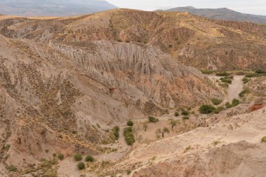 İspanya 'nın güneyindeki dağlık bölgede çalılar, ağaçlar ve kuru otlar var. Gökyüzü bulutlu.