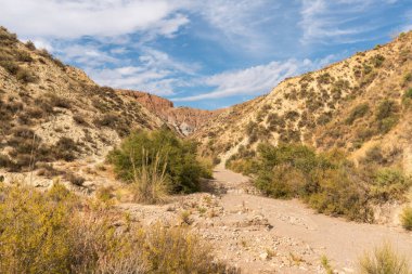 İspanya 'nın güneyindeki dağlık bir bölgede kuru bir dere, çalılar ve ağaçlar var, toprak aşınmış, gökyüzü bulutlu.