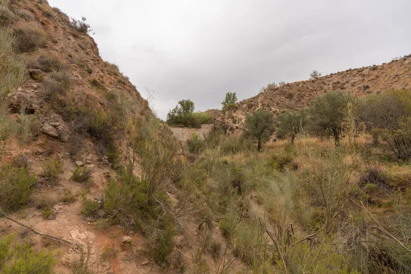 İspanya 'nın güneyindeki dağlık bölgede çalılar, ağaçlar ve kuru otlar var. Gökyüzü bulutlu.