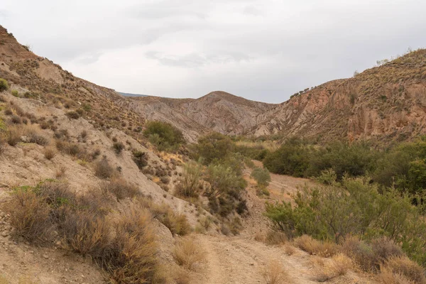 İspanya 'nın güneyindeki dağlık bir bölgede toprak yol, çalılar ve ağaçlar var, toprak aşınmış, gökyüzü bulutlu