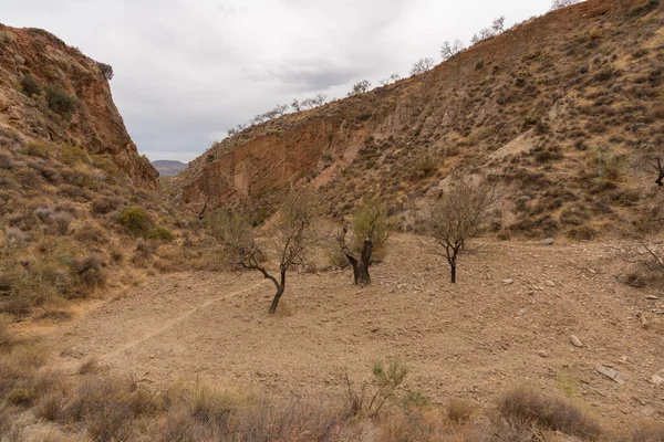 İspanya 'nın güneyindeki dağlık bölgede çalılar, ağaçlar ve kuru otlar var. Gökyüzü bulutlu.