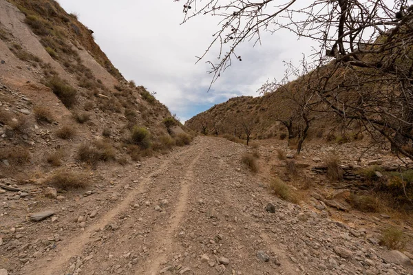 İspanya 'nın güneyindeki dağlık bir bölgede toprak yol, çalılar ve ağaçlar var, toprak aşınmış, gökyüzü bulutlu