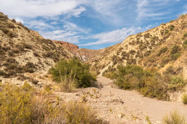 İspanya 'nın güneyindeki dağlık bir bölgede kuru bir dere, çalılar ve ağaçlar var, toprak aşınmış, gökyüzü bulutlu.