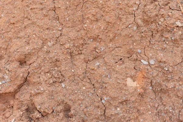 Uneven ground surface and stones, the ground is brown, there are cracks