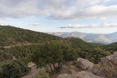Güney İspanya 'da Sierra Nevada' daki dağlık arazi, çam ormanı ve çalılar var, gökyüzü bulutlu.