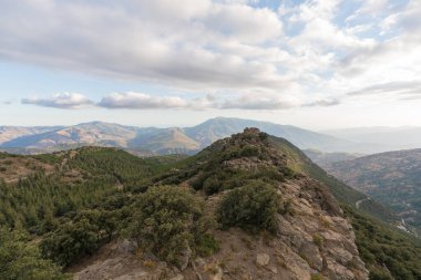 Güney İspanya 'da Sierra Nevada' daki dağlık arazi, çam ormanı ve çalılar var, gökyüzü bulutlu.