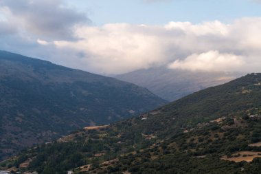 Güney İspanya 'da Sierra Nevada' daki dağlık arazi, çam ormanı ve çalılar var, gökyüzü bulutlu.