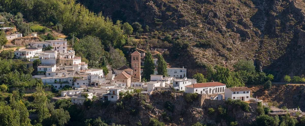 Sierra Nevada dağının yamacındaki köyde evlerinin cepheleri beyaza boyanmış, bitkiler ve ağaçlar var.