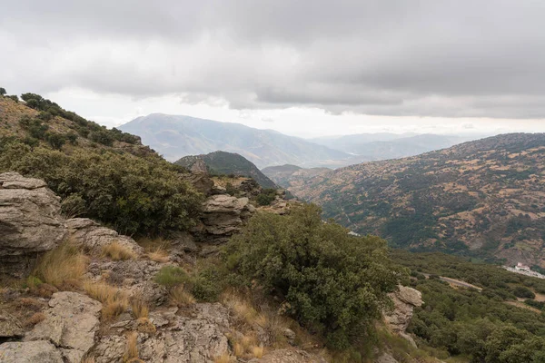 Güney İspanya 'da Sierra Nevada' daki dağlık arazi, çam ormanı ve çalılar var, gökyüzü bulutlu.