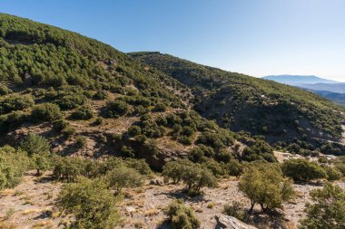 Güney İspanya 'da Sierra Nevada' da dağlar kadar arazi var. Çam ormanları ve çalılar var. Gökyüzünde bulutlar var.