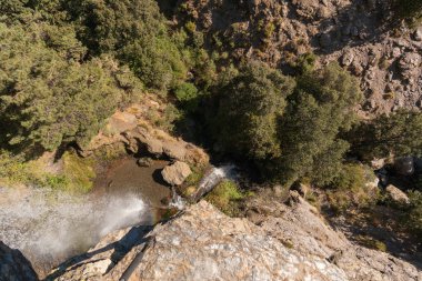 Sierra Nevada 'da şelale, ağaçlar ve çalılar var, bir kaya var.