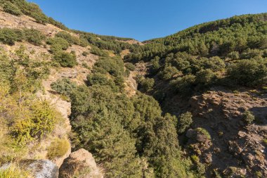Güney İspanya 'da Sierra Nevada' da dağlar kadar arazi var. Çam ormanları ve çalılar var. Gökyüzünde bulutlar var.