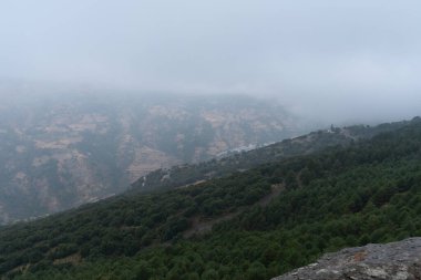 Güney İspanya 'da Sierra Nevada' daki dağlık arazi, ağaç ormanı ve çalılar var, gökyüzünde bulut var.