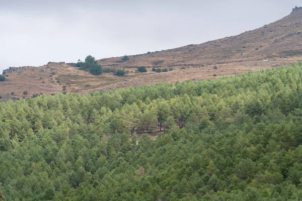 Güney İspanya 'da Sierra Nevada' daki dağlık arazi, ağaç ormanı ve çalılar var, gökyüzünde bulut var.