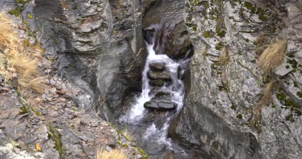 Arroyo Agua Montaña Roca Tiene Musgo Hay Hierba — Vídeos de Stock