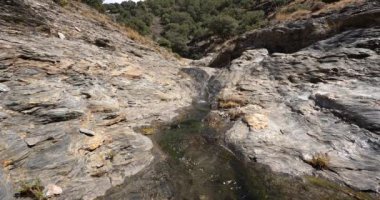 Dağdaki su akıntısı, kayaların yosunları, ağaçlar ve çalılar var.