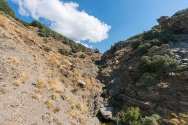 Sierra Nevada 'nın dağlık arazisi, ağaçlar ve çalılar var, taşlar ve kayalar var, bir kaya vadisi var, gökyüzünde bulutlar var.
