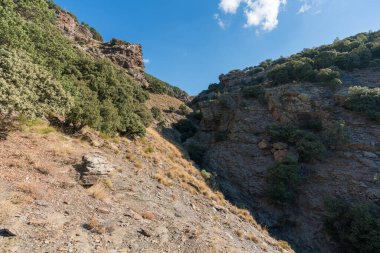 Sierra Nevada 'nın dağlık arazisi, ağaçlar ve çalılar var, taşlar ve kayalar var, bir kaya vadisi var, gökyüzü açık