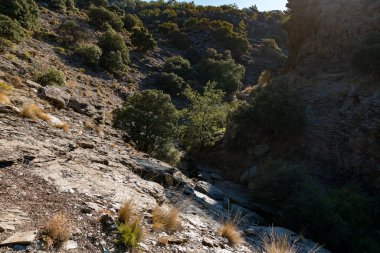 Sierra Nevada 'nın dağlık arazisi, ağaçlar ve çalılar var, taşlar ve kayalar var, bir kaya vadisi var.,