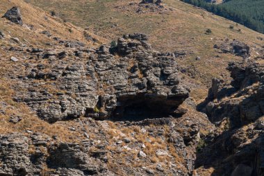 Sierra Nevada 'nın dağlık arazisi, ağaçlar ve çalılar var, taşlar ve kayalar var, bir kaya vadisi var.,