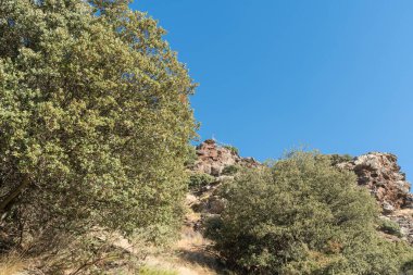 Sierra Nevada 'nın dağlık arazisi, ağaçlar ve çalılar var, taşlar ve kayalar var, bir kaya vadisi var, gökyüzü açık