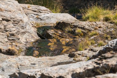 Sierra Nevada 'da bir vadiden aşağı akan su, kayalar ve taşlar, çalılar ve çimenler var.