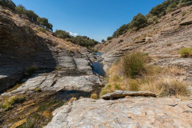 Sierra Nevada 'da bir vadiden aşağı akan sular, kayalar ve taşlar, çalılar ve çimenler, gökyüzü berrak.