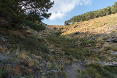 Sierra Nevada 'nın dağlık arazisi, ağaçlar ve çalılar, taşlar ve kayalar var, gökyüzünde bulut var.