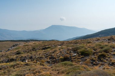 Sierra Nevada 'nın dağlık arazisi, ağaçlar ve çalılar var, taşlar ve kayalar var, gökyüzü açık.
