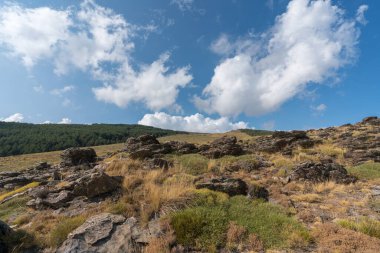 Sierra Nevada 'nın dağlık arazisi, ağaçlar ve çalılar, taşlar ve kayalar var, gökyüzünde bulut var.