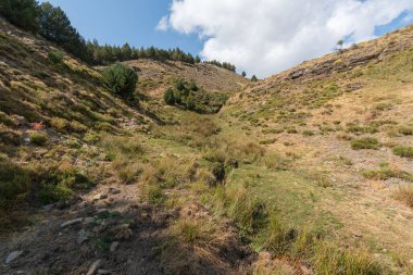 Sierra Nevada 'nın dağlık arazisi, ağaçlar ve çalılar, taşlar ve kayalar var, gökyüzünde bulut var.