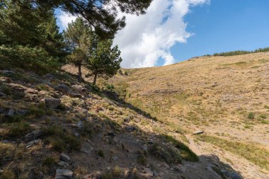 Sierra Nevada 'nın dağlık arazisi, ağaçlar ve çalılar, taşlar ve kayalar var, gökyüzünde bulut var.