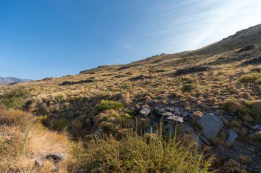 Sierra Nevada 'nın dağlık arazisi, çimenler ve çalılar var, taşlar ve kayalar var, gökyüzü açık.