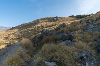 Sierra Nevada 'nın dağlık arazisi, çimenler ve çalılar var, taşlar ve kayalar var, gökyüzü açık.