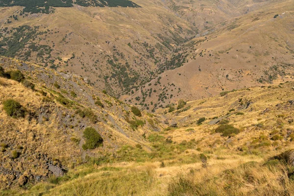 Sierra Nevada Nın Dağlık Arazisi Otlar Çalılar Var Taşlar Kayalar — Stok fotoğraf