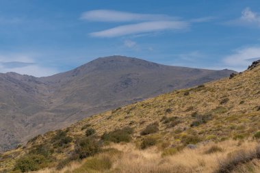 Sierra Nevada 'nın dağlık arazisi, çimenler ve çalılar, taşlar ve kayalar var, gökyüzünde bulut var.
