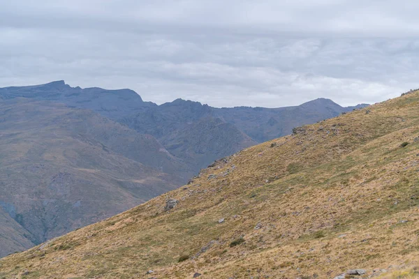 Sierra Nevada Nın Dağlık Arazisi Çimenler Çalılar Taşlar Kayalar Var — Stok fotoğraf