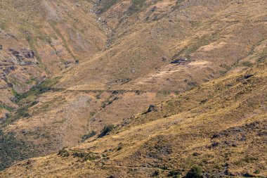 Sierra Nevada 'nın dağlık arazisi, otlar ve çalılar, taşlar ve kayalar var, dağ yamacında bir çiftlik evi var.