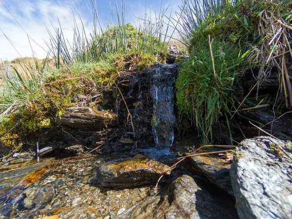 Woda Spływa Wąwozem Sierra Nevada Drzewa Trawa Krzewy Kamienie Skały — Zdjęcie stockowe