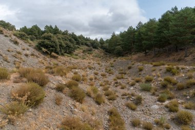 Sierra Nevada 'nın dağlık arazisi, çimenler, çalılar ve ağaçlar, taşlar ve kayalar var, gökyüzü bulutlu.