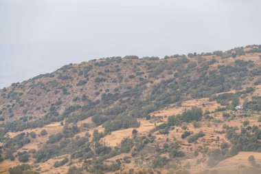 Sierra Nevada 'nın dağlık arazisi, çimenler, çalılar ve ağaçlar, taşlar ve kayalar var, gökyüzü bulutlu.