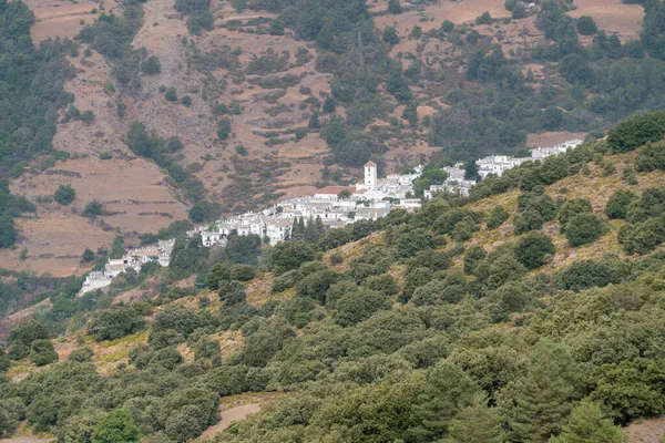 스페인 시에라 바다에 레이라라는 마을의 집들은 하얀색으로 외관을 가지고 나무와 — 스톡 사진
