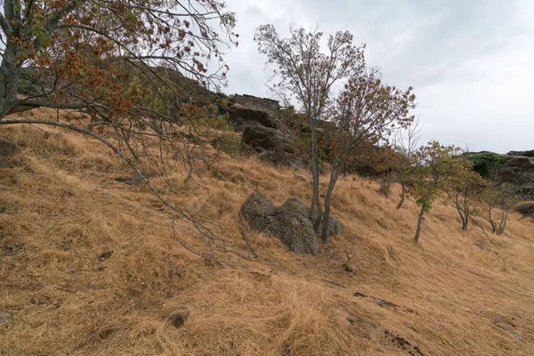 Paysage Montagneux Dans Sud Espagne Herbe Sèche Des Buissons Des — Photo