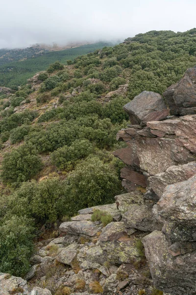 Paisaje Montañoso Sierra Nevada Sur España Hay Bosque Encinas Arbustos —  Fotos de Stock