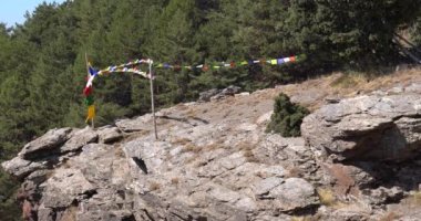 Tibetan flags waving in Sierra Nevada, there are pine forests, bushes and grass, there are rocks and stones