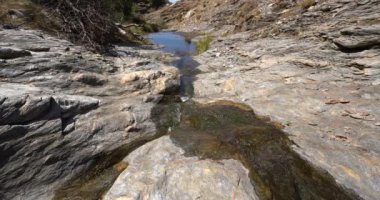 Dağdaki su akıntısı, kayaların yosunları var, çimenler var.