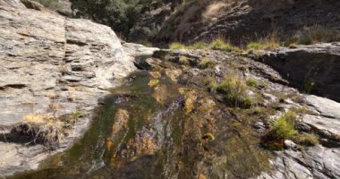 Dağdaki su akıntısı, kayaların yosunları var, çimenler var.